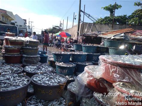 (PDF) Ang Pagdalumat ng Bentahan sa Navotas Fish Port.